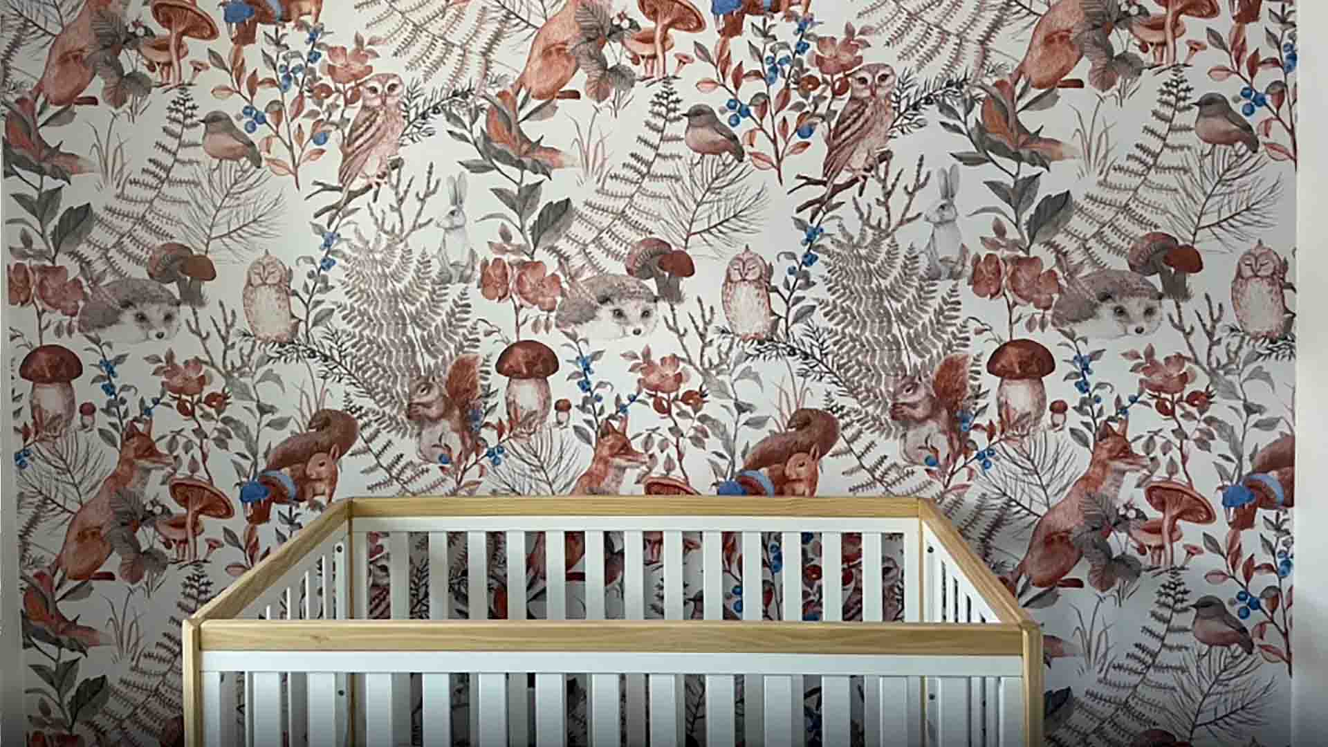 Custom mural wallpaper installation in a kids’ room, Lakewood, Colorado